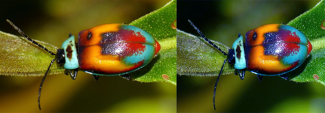 colorbalance-bug